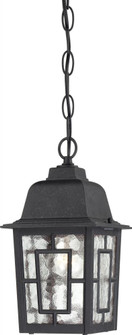 Banyan - 1 Light 11'' Hanging Lantern with Clear Water Glass - Textured Black Finish (81|60/4933)
