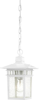 Cove Neck - 1 Light 12'' Hanging Lantern with Clear Seed Glass - White Finish (81|60/4954)