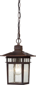 Cove Neck - 1 Light 12'' Hanging Lantern with Clear Seed Glass - Rustic Bronze Finish (81|60/4955)