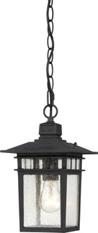 Cove Neck - 1 Light 12'' Hanging Lantern with Clear Seed Glass - Textured Black Finish (81|60/4956)