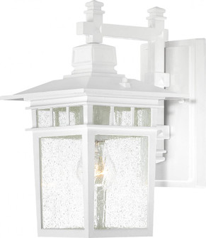 Cove Neck - 1 Light 14'' Wall Lantern with Clear Seed Glass - White Finish (81|60/4957)