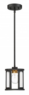 Payne - 1 Light Mini Pendant with Clear Beveled Glass - Midnight Bronze Finish (81|60/6412)