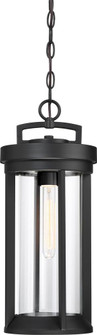 Huron - 1 Light Hanging Lantern with Clear Glass - Aged Bronze Finish (81|60/6504)