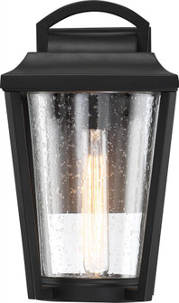 Lakeview - 1 Light Medium Wall Lantern with Clear Seed Glass - Aged Bronze Finish (81|60/6511)