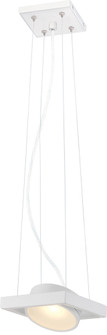 Hawk - LED Mini Pendant with Pivoting Head - White Finish (81|62/995)