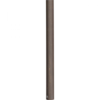 AirPro Collection 12 In. Ceiling Fan Downrod in Antique Bronze (149|P2603-20)