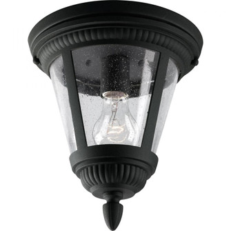 P3883-31 1-100W MED CLSE TO CLG (149|P3883-31)
