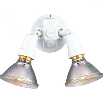 Two-Light Adjustable Swivel Flood Light (149|P5207-30)
