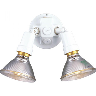 P5207-30 2-150W MED ADJ WALL FL (149|P5207-30)