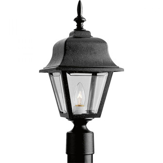 Non-Metallic Incandescent One-Light Post Lantern (149|P5456-31)