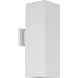 P5644-30 2-250W QPAR-38 OD WALL (149|P5644-30)