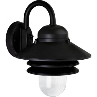 P5645-31 1-60W MED WALL LANT (149|P5645-31)