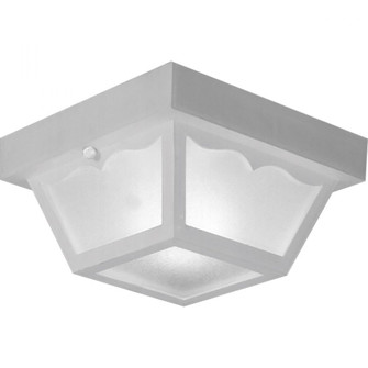 P5744-30 1-60W MED CTC CAR PORT (149|P5744-30)