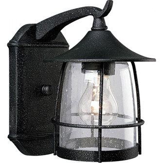 Prairie Collection One-Light Medium Wall Lantern (149|P5763-71)