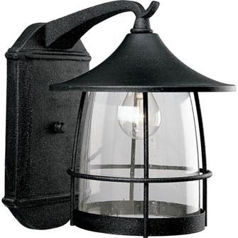 P5764-71 1-100W MED WALL LANTERN (149|P5764-71)