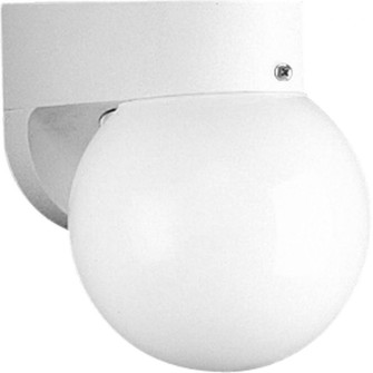 Non-Metallic Incandescent One-Light Outdoor Wall Lantern (149|P5813-30)