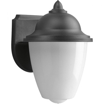 P5844-31 1-60W MED WALL LANTERN (149|P5844-31)
