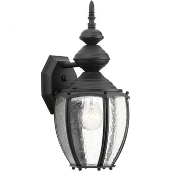 P5765-31 1-100W-MED WALL LANTERN (149|P5765-31)
