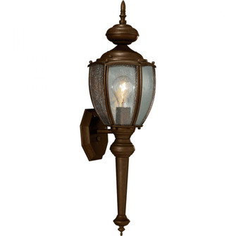 P5767-20 1-100W-MED WALL LANTERN (149|P5767-20)