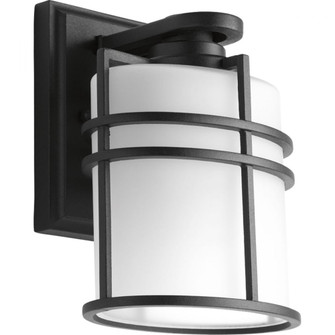 P6062-31 1-100W MED WALL LANTERN (149|P6062-31)