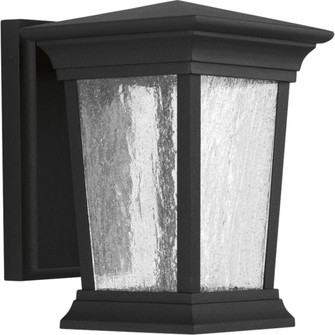 P6067-3130K9 1-9W LED WALL LANTERN (149|P6067-3130K9)