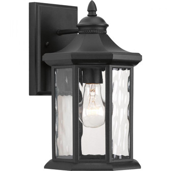 Edition Collection One-Light Medium Wall Lantern (149|P6071-31)