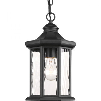 P6529-31 1-100W MED HANGING LANTERN (149|P6529-31)