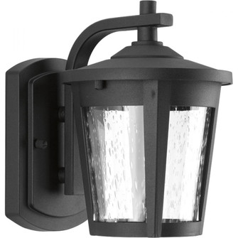 East Haven Collection Small LED Wall Lantern (149|P6077-3130K9)