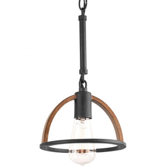 P5315-71 1-60W MED MINI-PENDANT (149|P5315-71)