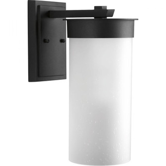 Hawthorne Collection One-Light Large Wall Lantern (149|P5665-31)