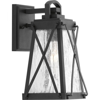 P560031-031 1-100W MED WALL LANTERN (149|P560031-031)