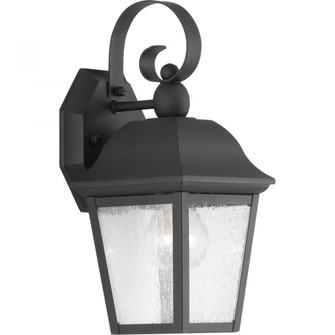 P560010-031 1-100W MED WALL LANTERN (149|P560010-031)