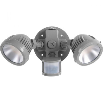 Two-Light Security/Flood Light With Motion Sensor (149|P6341-82-30K)