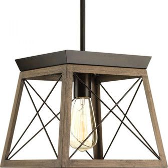P500041-020 1-100W MED MINI-PENDANT (149|P500041-020)