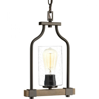 P500056-020 1-100W MED MINI-PENDANT (149|P500056-020)
