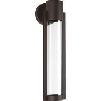 Z-1030 Collection One-Light LED Medium Wall Lantern (149|P560056-020-30)