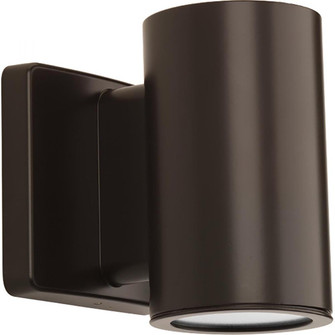 P563000-020-30K 3IN WALL MT DWLGT CYLIND (149|P563000-020-30K)