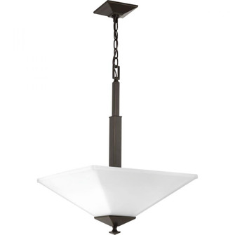 P500126-020 2-100W MED PENDANT (149|P500126-020)