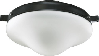 WET LED LK W/ OPAL - OW (83|1377-895)