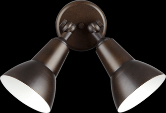 2LT PAR LAMP FLOODLGT -OB (83|690-2-86)