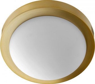 11'' CONTEMPO FL/MNT - AGB (83|3505-11-80)