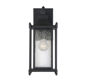 Dunnmore 1-Light Outdoor Wall Lantern in Black (128|5-3451-BK)
