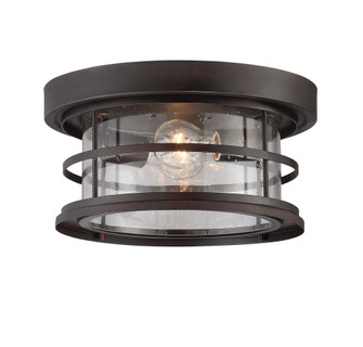 Barrett 2-Light Outdoor Ceiling Light in English Bronze (128|5-369-13-13)