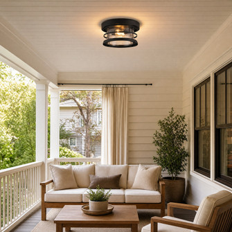 Barrett 2-Light Outdoor Ceiling Light in Black (128|5-369-13-BK)