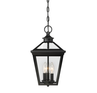 Ellijay 3-Light Outdoor Hanging Lantern in Black (128|5-146-BK)