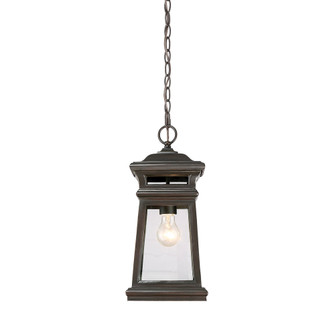 Taylor 1-Light Outdoor Hanging Lantern in English Bronze with Gold (128|5-243-213)