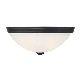 2-Light Ceiling Light in Matte Black (128|6-780-13-BK)