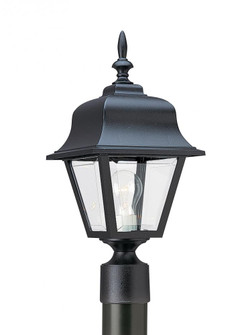Polycarbonate Outdoor traditional 1-light outdoor exterior medium post lantern in black finish with (38|8255-12)