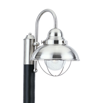 Sebring transitional 1-light outdoor exterior post lantern in brushed stainless silver finish with c (38|8269-98)