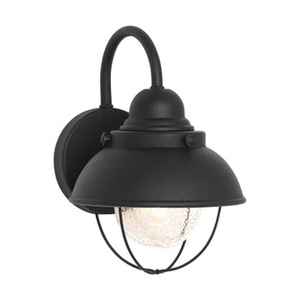 Sebring transitional 1-light outdoor exterior small wall lantern sconce in black finish with clear s (38|8870-12)